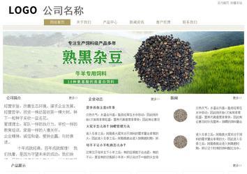 經(jīng)濟型成品案例站No:8706