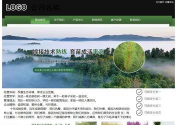 經(jīng)濟型成品案例站No:8728