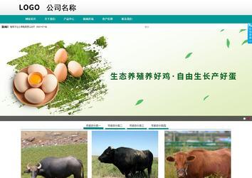 商務(wù)型成品案例No:8787