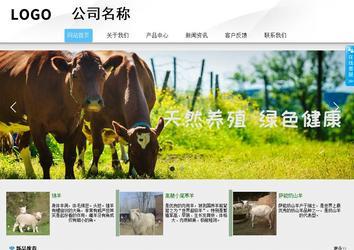 商務(wù)型成品案例站No:8808