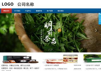 商務(wù)型成品案例站No:8813