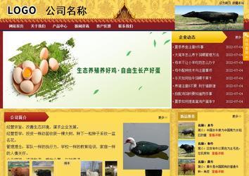 商務(wù)型成品案例站No:8824