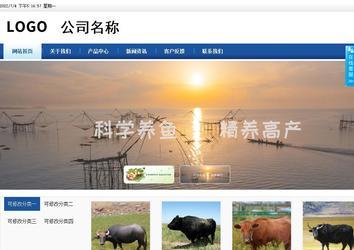 商務(wù)型成品案例站No:8827