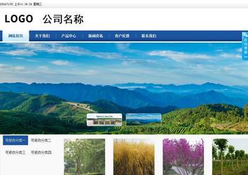 商務(wù)型成品案例站No:8827