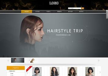 商務(wù)型成品案例站No:8829