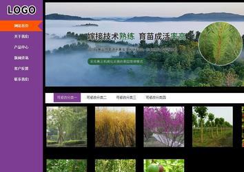 商務(wù)型成品案例站No:8830