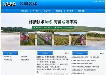 經(jīng)濟(jì)型成品案例站No:8855