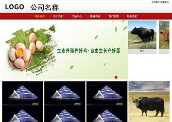 商務(wù)型成品案例站No:8860