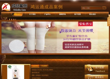 商務(wù)型成品案例站No:8861